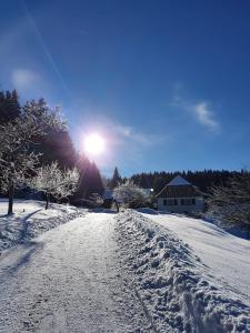 una carretera cubierta de nieve con el sol en el fondo en Haus Waldschänke, en Erlbach