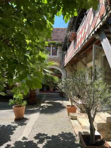 un patio con macetas frente a un edificio en Maison Castaings en Lucq-de-Béarn