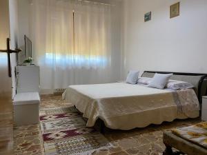 a bedroom with a bed and a large window at BELLA VISTA BOLOGNESE in Trespiano