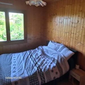 Bett in einem Zimmer mit Fenster in der Unterkunft Chalet-villa tout equipe in Cruseilles