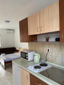 a kitchen with a stove and a microwave on a counter at Apartments Vila Kurtagic in Dobra Voda