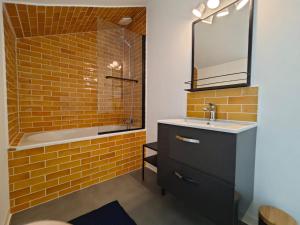 een badkamer met een wastafel, een spiegel en een bad bij Le nid de l'île in Amboise