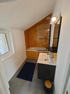 ein Badezimmer mit einem Waschbecken und einer Badewanne in der Unterkunft Le nid de l'île in Amboise