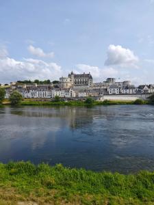 a view of a river with buildings in the background at Le nid de l'île in Amboise