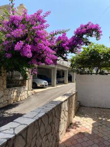 a retaining wall with purple flowers on a street at Apartments Vila Kurtagic in Dobra Voda