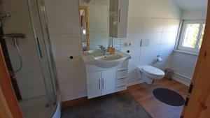 La salle de bains est pourvue d'un lavabo, d'une douche et de toilettes. dans l'établissement Haus Waldschänke, à Erlbach