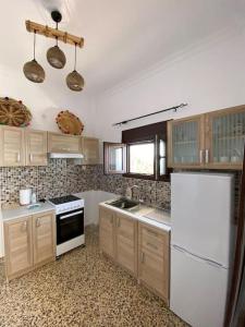 a kitchen with wooden cabinets and a white refrigerator at Cactus villa in Karpathos Town
