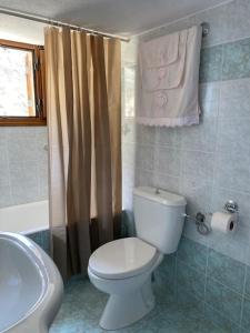 a bathroom with a toilet and a shower curtain at Cactus villa in Karpathos Town