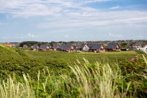 a row of houses in a field of grass at Ferienzentrum Wenningstedt in Wenningstedt