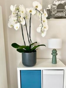 un vase de fleurs blanches sur une table dans l'établissement Vacances paradisiaques à la plage, à Deauville