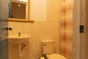 帕拉卡斯的住宿－BUGANVILIA，一间带卫生间和水槽的浴室
