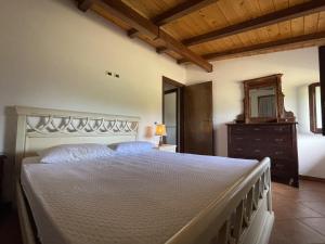 a bedroom with a large white bed and a dresser at Appartementi nella Foresta dei Simbruini in Cervara di Roma