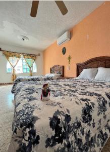 a teddy bear sitting on a bed in a bedroom at Hermosa casa privada con alberca. in Veracruz