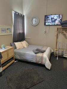 ein Schlafzimmer mit einem Bett und einem TV an der Wand in der Unterkunft Cooma Hotel in Cooma