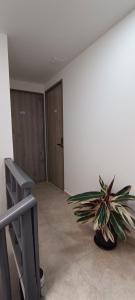 Fotografie z fotogalerie ubytování 86 suites v destinaci Bogotá