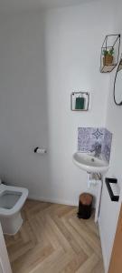 a white bathroom with a toilet and a sink at Modern Town House in Mid Wales in Knighton