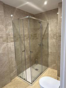 y baño con ducha y aseo. en Piso Sardinero - Almar d'Pipe, en Santander