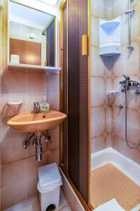een badkamer met een wastafel, een douche en een toilet bij Apartment Crikvenica 5494a in Crikvenica
