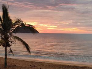 una palmera en la playa con puesta de sol en La Casita de la Penita, en Peñita de Jaltemba