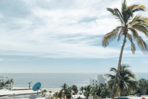 a palm tree in front of the ocean at Estudio con vista al mar #5 in San José del Cabo