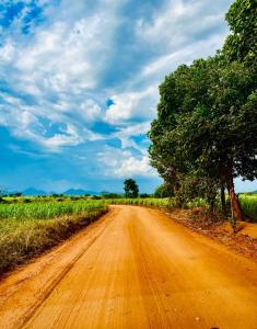 a dirt road in the middle of a field at LIFE OF COCO in Galge