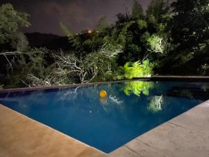 einen Pool in einem Garten in der Nacht in der Unterkunft Casa San Gabriel in La Mesa