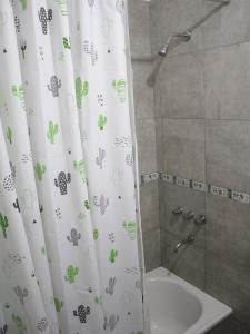 La salle de bains est pourvue d'un rideau de douche, de toilettes et d'un lavabo. dans l'établissement Fica à vontade, à San Salvador de Jujuy