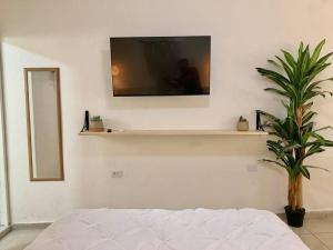 a room with a tv on a wall with a plant at Estudio centro histórico #4 in San José del Cabo