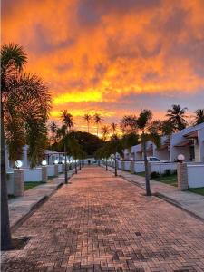 eine Backsteinstraße mit Palmen und Sonnenuntergang in der Unterkunft Cantinho da Felicidade in Trairi