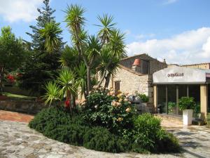 A garden outside Crapa Licca