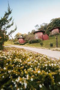 Zahrada ubytování Pipas do Vale - Vale dos Vinhedos