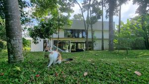 Billede fra billedgalleriet på Villa Maxwell i Munggu