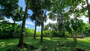 Billede fra billedgalleriet på Villa Maxwell i Munggu