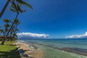 een strand met palmbomen en de oceaan bij Paki Maui #103 condo in Kahana