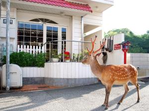 a deer standing in front of a house at Hotel Cotton 100% in Nara