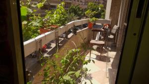 a balcony with potted plants on a building at A room in an apartment in Nasr City, Cairo, in the eighth district, 15 minutes from Cairo Airport,غرفة بشقة بمدينة نصر بالقاهرة بالحي الثامن 15 دقيقة من مطار القاهرة و 7 دقيقة من معهد الفجر و 12 دقيقة لمعهد ابانة لتعليم اللغة العربية و 26 دقيقة لوسط البلد in Cairo