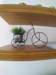 two black glasses sitting on a shelf with a plant at Recoleta - Fantástico departamento in Buenos Aires
