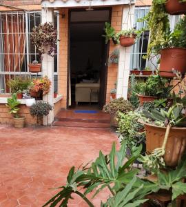 a front door of a house with lots of potted plants at Casita Cultura in Lima