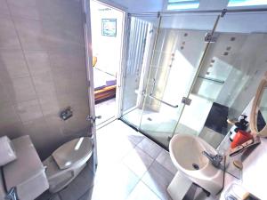een badkamer met een douche, een wastafel en een toilet bij Cactusland Villa Near Bui Vien Street in Ho Chi Minh-stad