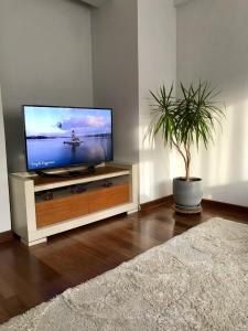 a television in a living room with a potted plant at Cozy and Modern Flat Near Bosphorus At Arnavutköy in Istanbul