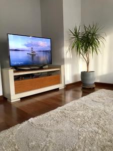 a flat screen tv sitting on a entertainment center with a potted plant at Cozy and Modern Flat Near Bosphorus At Arnavutköy in Istanbul