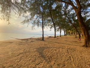 a hammock on a beach with trees and the ocean at Ceiba View Homestay in Dungun