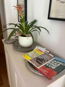 a table with a potted plant and magazines on it at Casa vacanze a Prosecco - Trieste in Trieste +26 photos