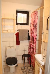 a bathroom with a toilet and a sink at Glamping Hnačov 