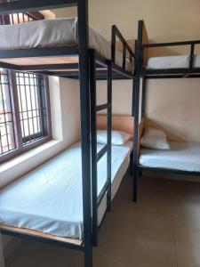 Zimmer mit Etagenbetten in einem Hostel in der Unterkunft Beyond Home in Kozhikode