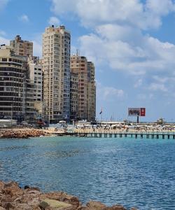 uma vista para uma cidade com um cais e edifícios em Miami Island em Alexandria