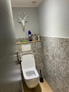 La salle de bains est pourvue de toilettes avec une tête de cerf sur le mur. dans l'établissement Au Grand Duc, à Cauterets