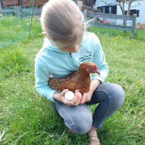 Dyr på feriegården eller i nærheden