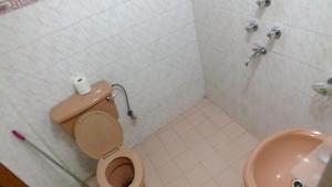 Koupelna v ubytování Hotel Dolphin