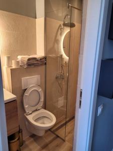 La salle de bains est pourvue de toilettes et d'une douche en verre. dans l'établissement Studio Home, à Onești